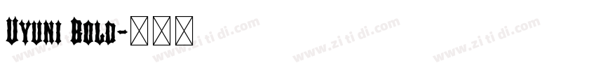 Uyuni Bold字体转换